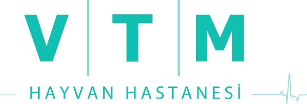 VTM Hayvan Hastanesi 
